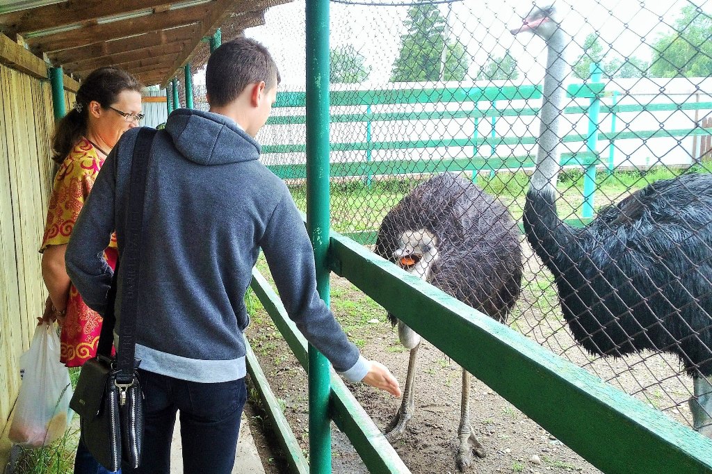 Поездка на страусиную ферму в с.Усть-Качка Пермского края
