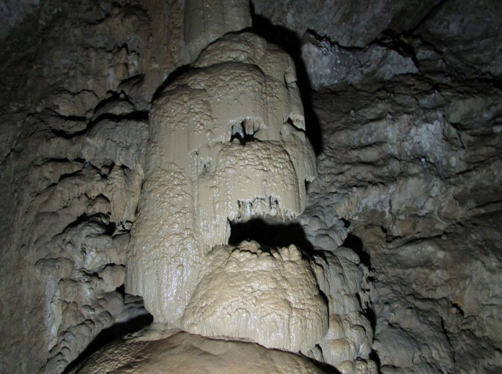 Пещерный житель