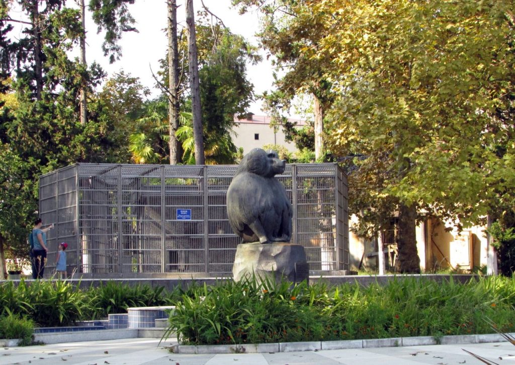 Памятник павиану Муррею